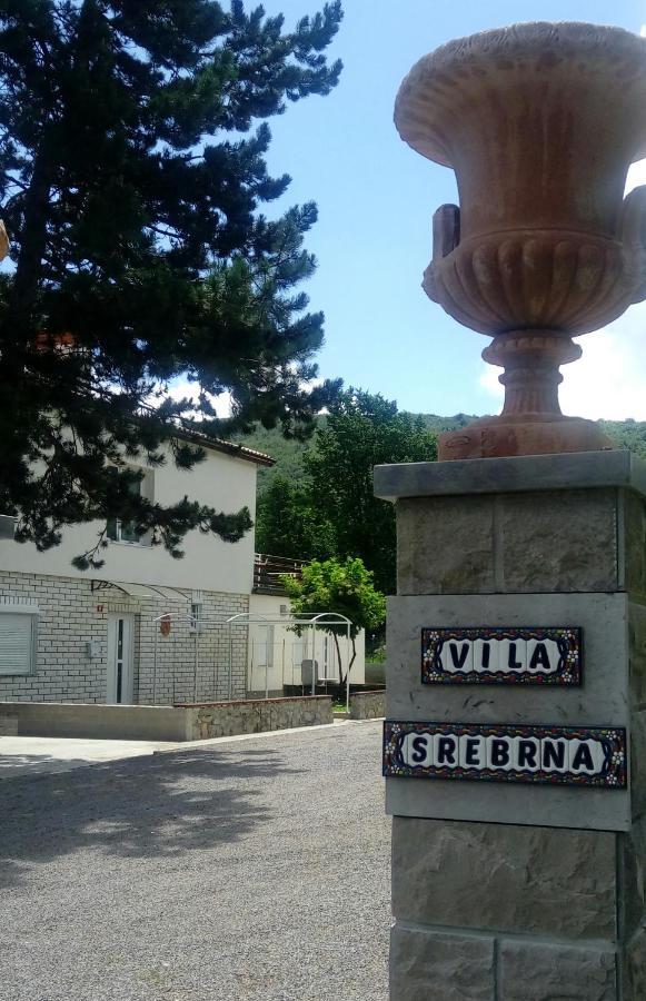 Divaca, Vila Srebrna Екстер'єр фото